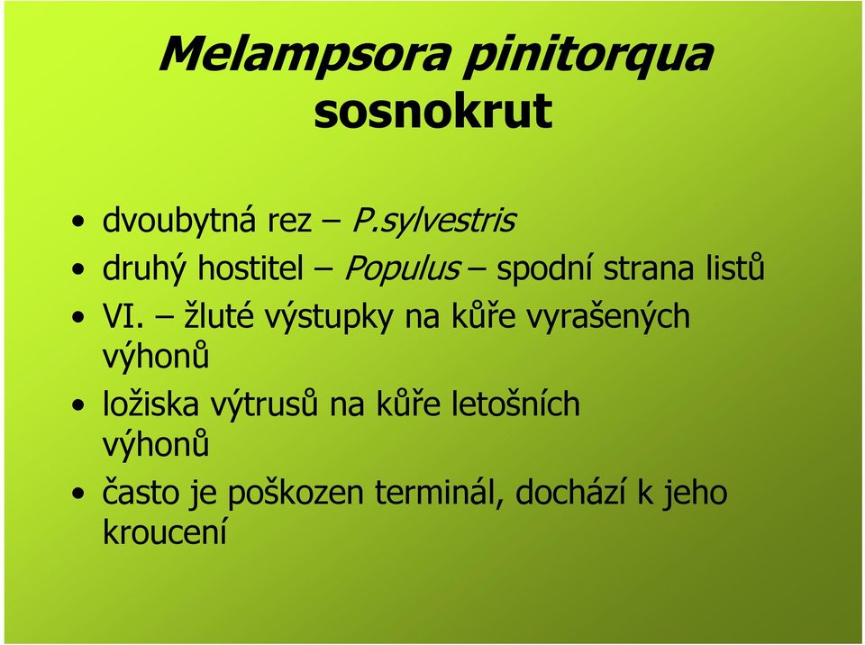 žluté výstupky na kůře vyrašených výhonů ložiska výtrusů na