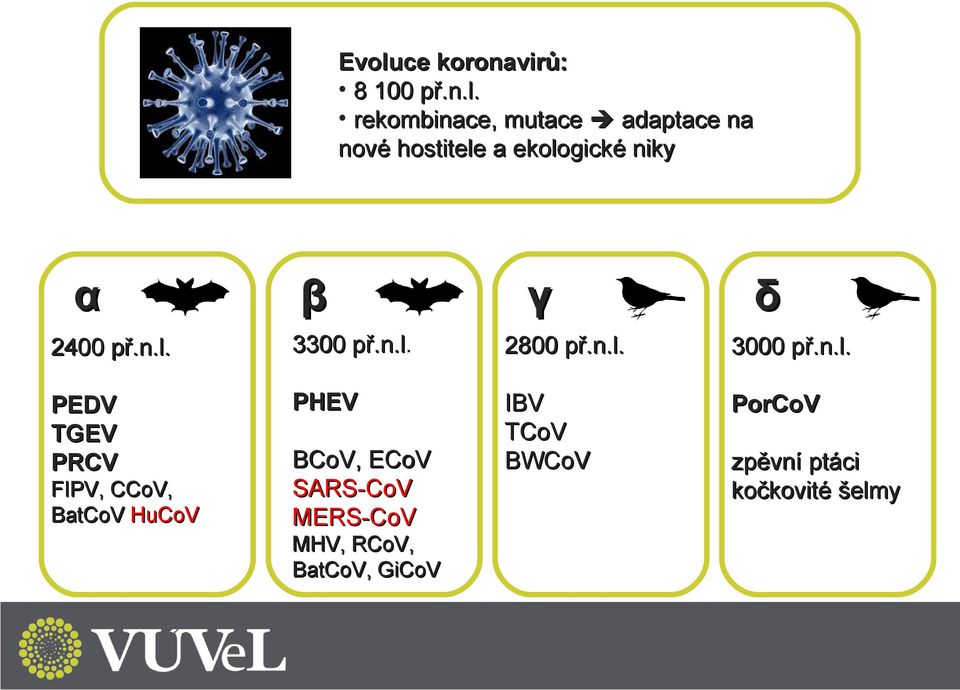 n.l. PEDV TGEV PRCV FIPV, CCoV, BatCoV HuCoV PHEV BCoV, ECoV SARS-CoV