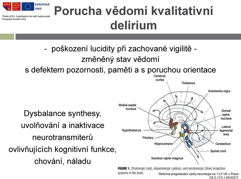 paměti a s poruchou orientace Dysbalance synthesy, uvolňování a