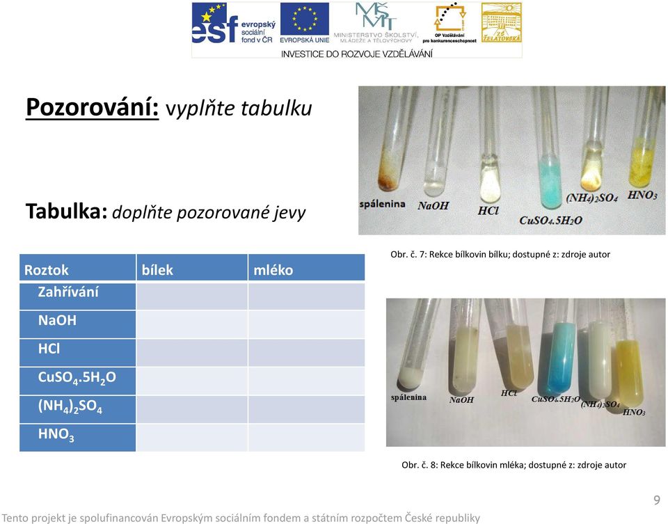 7: Rekce bílkovin bílku; dostupné z: zdroje autor (NH 4 ) 2 SO