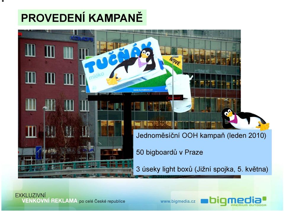 (leden 2010) 50 bigboardů v