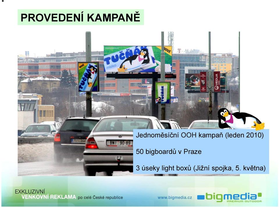 (leden 2010) 50 bigboardů v