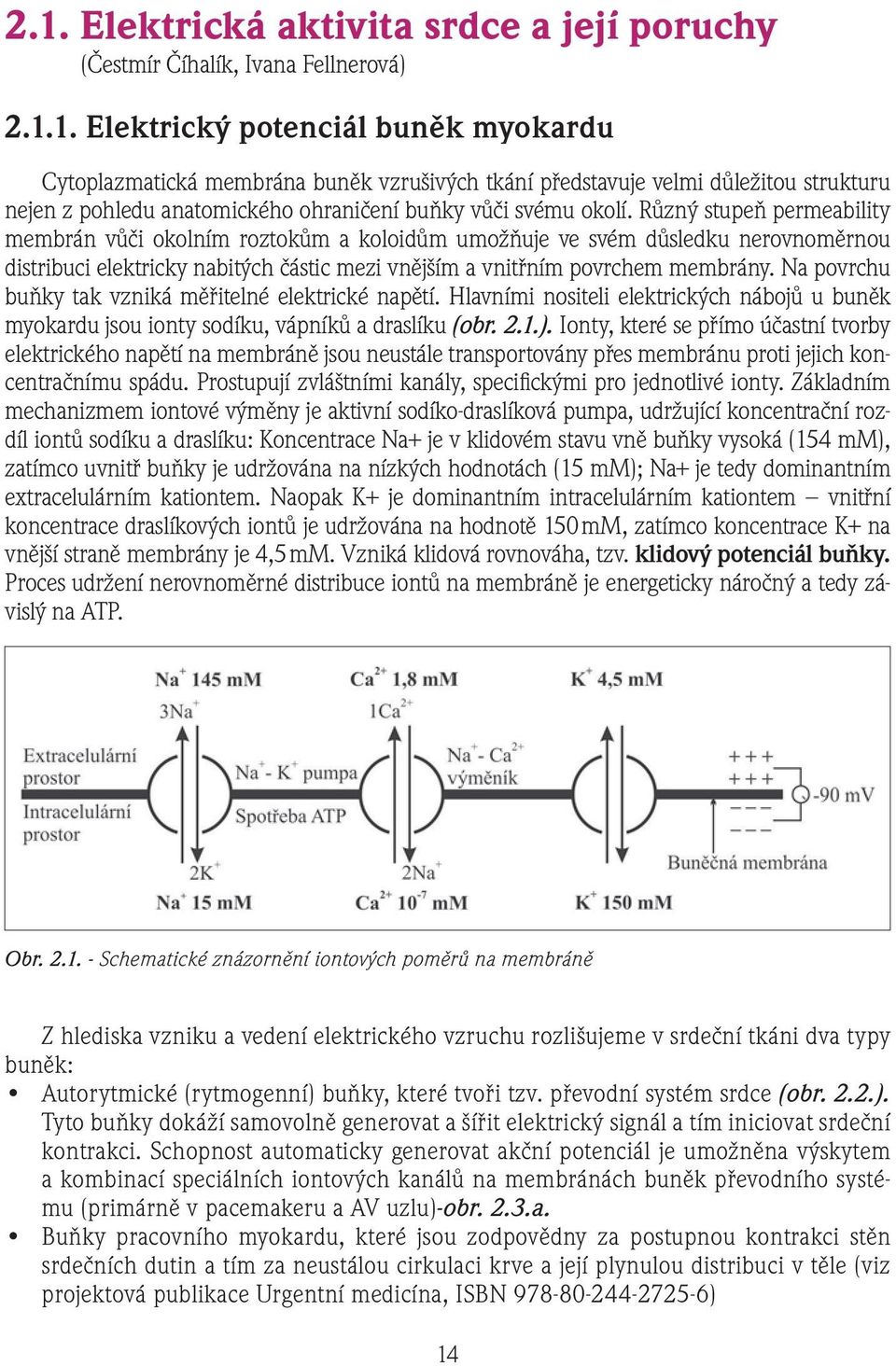 Na povrchu buňky tak vzniká měřitelné elektrické napětí. Hlavními nositeli elektrických nábojů u buněk myokardu jsou ionty sodíku, vápníků a draslíku (obr. 2.1.).