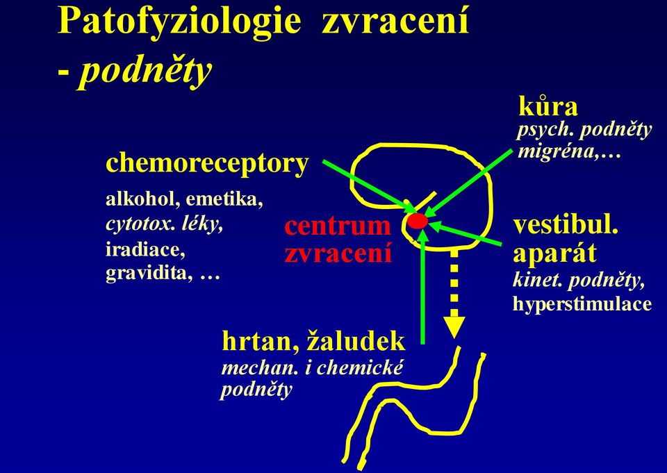 léky, iradiace, gravidita, centrum zvracení hrtan, žaludek