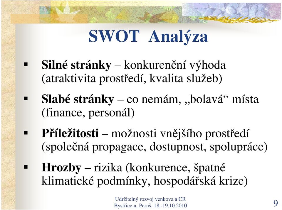 možnosti vnějšího prostředí (společná propagace, dostupnost, spolupráce) Hrozby