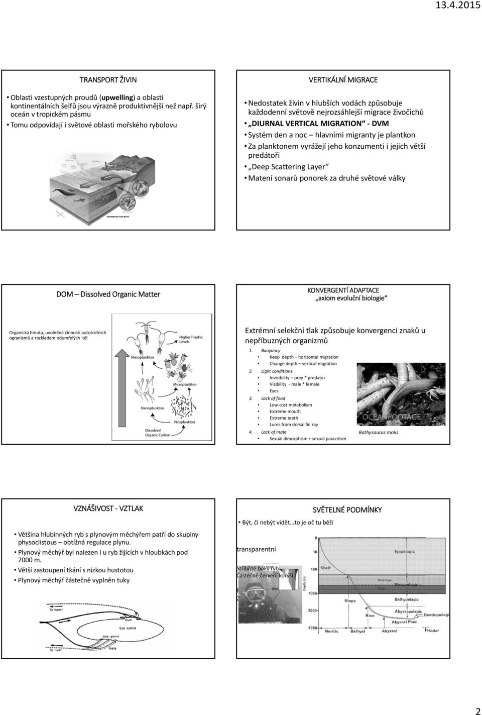 DIURNAL VERTICAL MIGRATION DVM Systém den a noc hlavními migranty je plantkon Za planktonem vyrážejí jeho konzumenti i jejich větší predátoři Deep Scattering Layer Matení sonarů ponorek za druhé