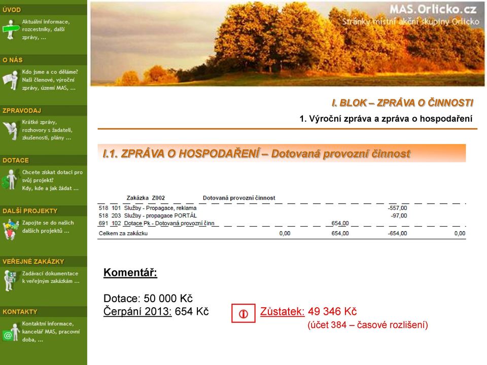 ZPRÁVA O HOSPODAŘENÍ Dotovaná provozní činnost