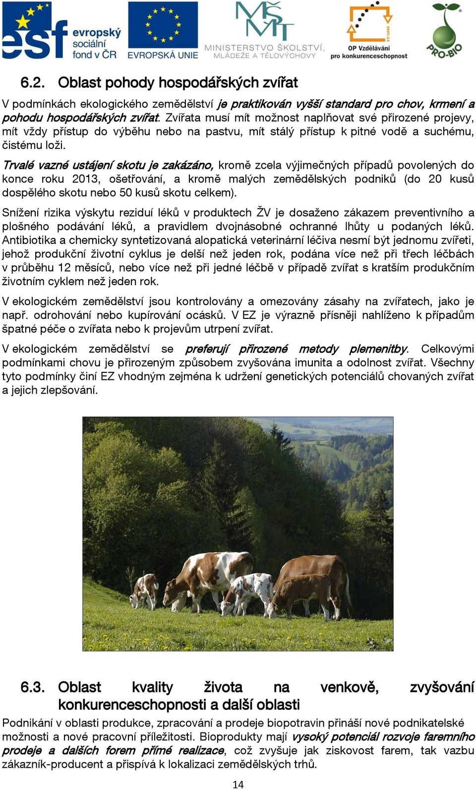 Trvalé vazné ustájení skotu je zakázáno, kromě zcela výjimečných případů povolených do konce roku 2013, ošetřování, a kromě malých zemědělských podniků (do 20 kusů dospělého skotu nebo 50 kusů skotu