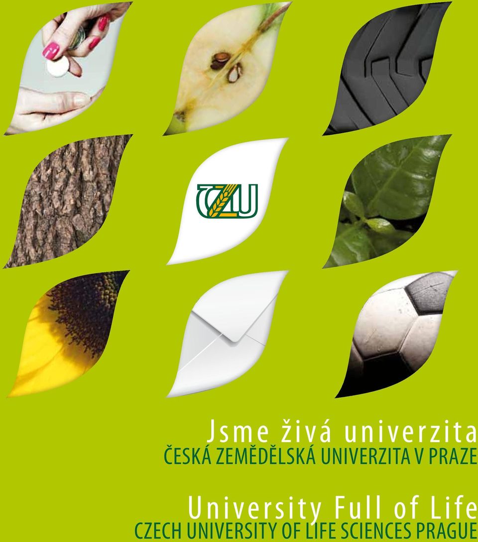 University Full of Life Czech