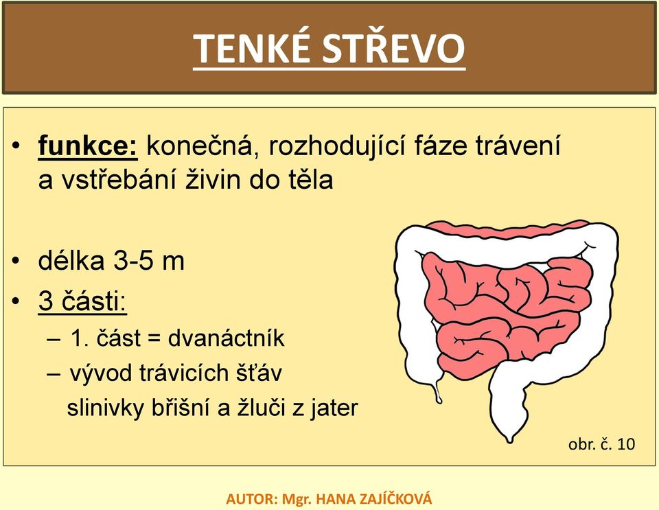 3 části: 1.