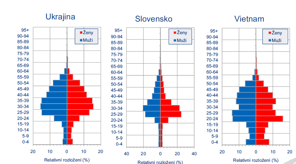 Věková pyramida