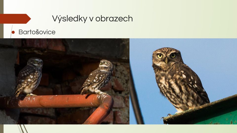 obrazech