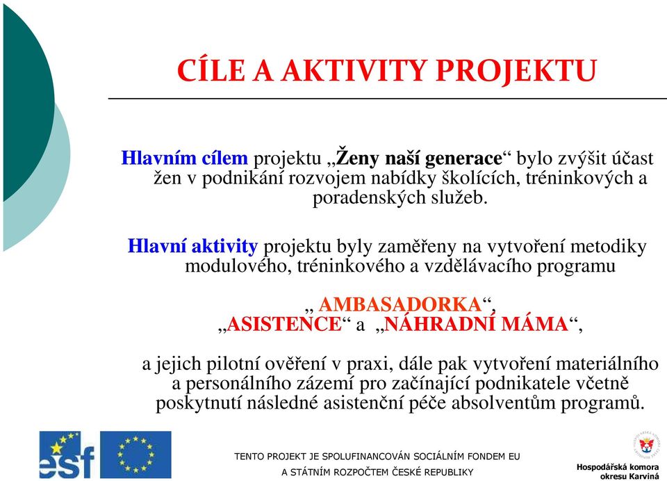 Hlavní aktivity projektu byly zaměřeny na vytvoření metodiky modulového, tréninkového a vzdělávacího programu AMBASADORKA,