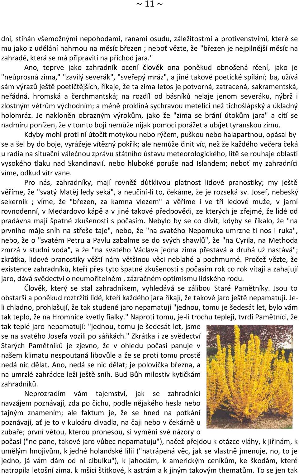 " Ano, teprve jako zahradník ocení člověk ona poněkud obnošená rčení, jako je "neúprosná zima," "zavilý severák", "sveřepý mráz", a jiné takové poetické spílání; ba, užívá sám výrazů ještě