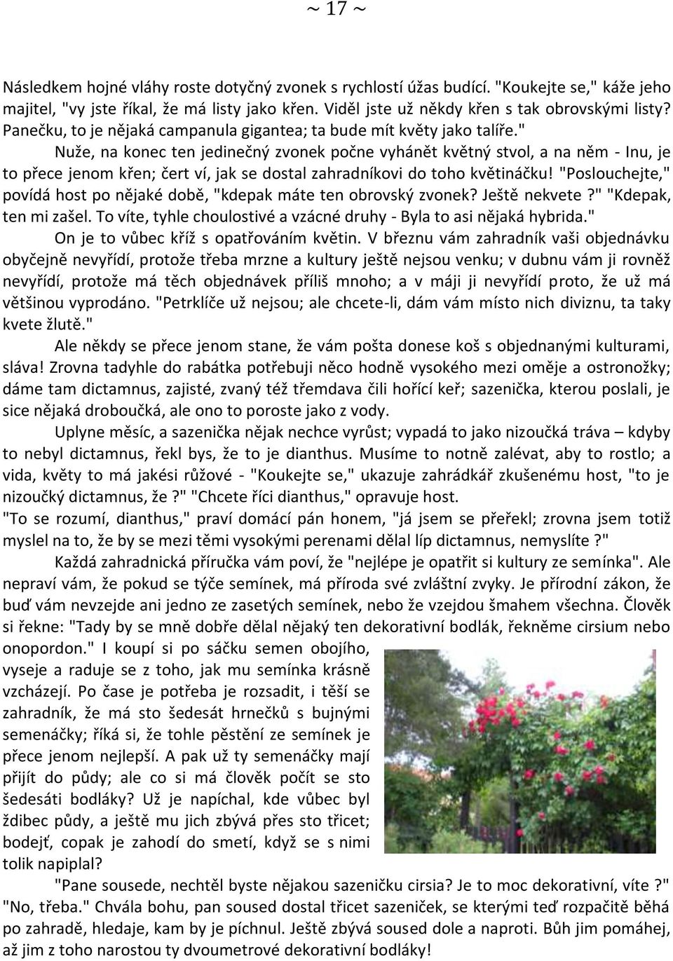 " Nuže, na konec ten jedinečný zvonek počne vyhánět květný stvol, a na něm - Inu, je to přece jenom křen; čert ví, jak se dostal zahradníkovi do toho květináčku!