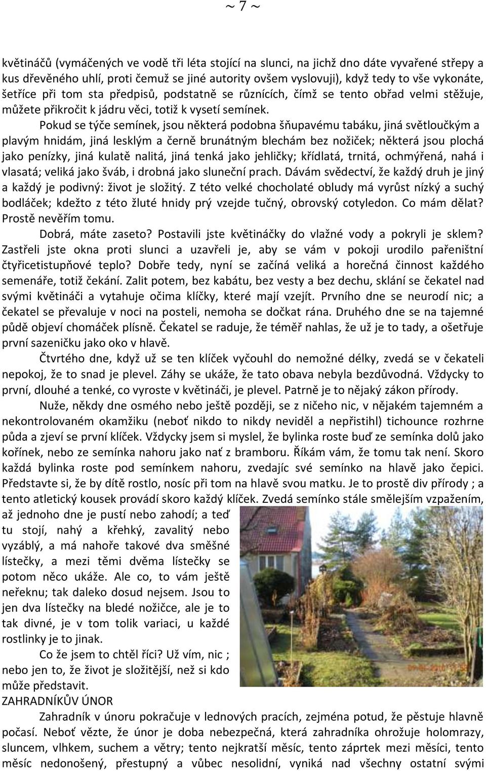 Pokud se týče semínek, jsou některá podobna šňupavému tabáku, jiná světloučkým a plavým hnidám, jiná lesklým a černě brunátným blechám bez nožiček; některá jsou plochá jako penízky, jiná kulatě
