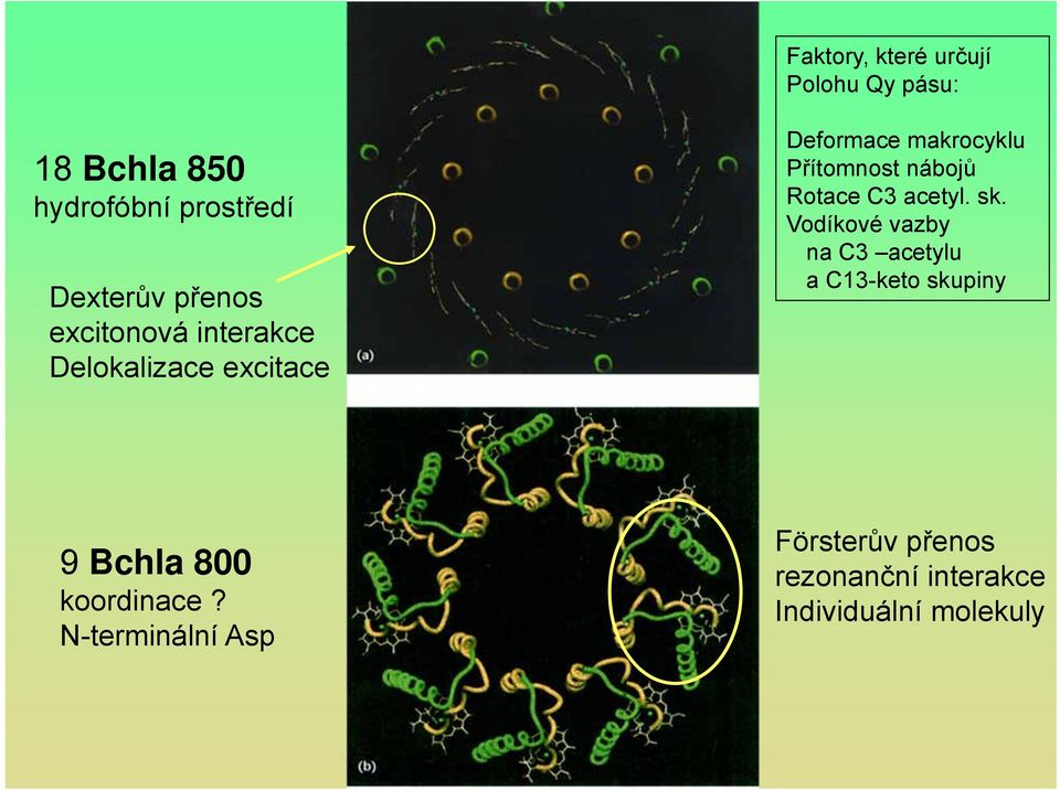 nábojů Rotace C3 acetyl. sk.