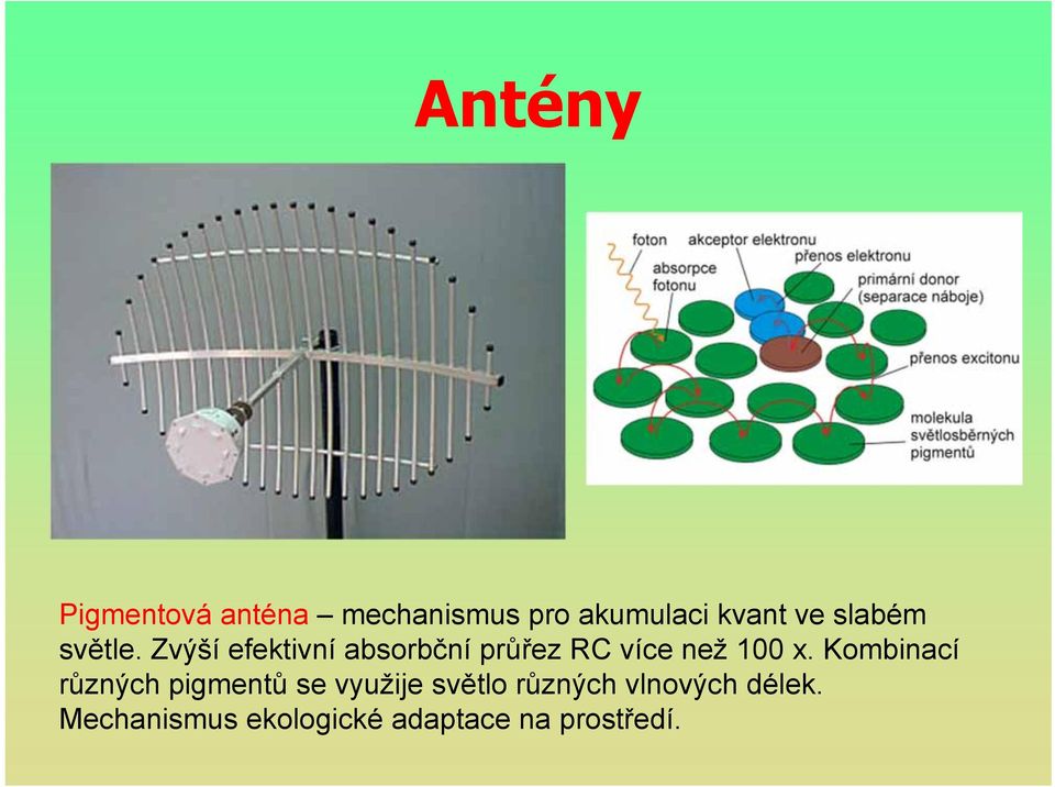 Zvýší efektivní absorbční průřez RC více než 100 x.