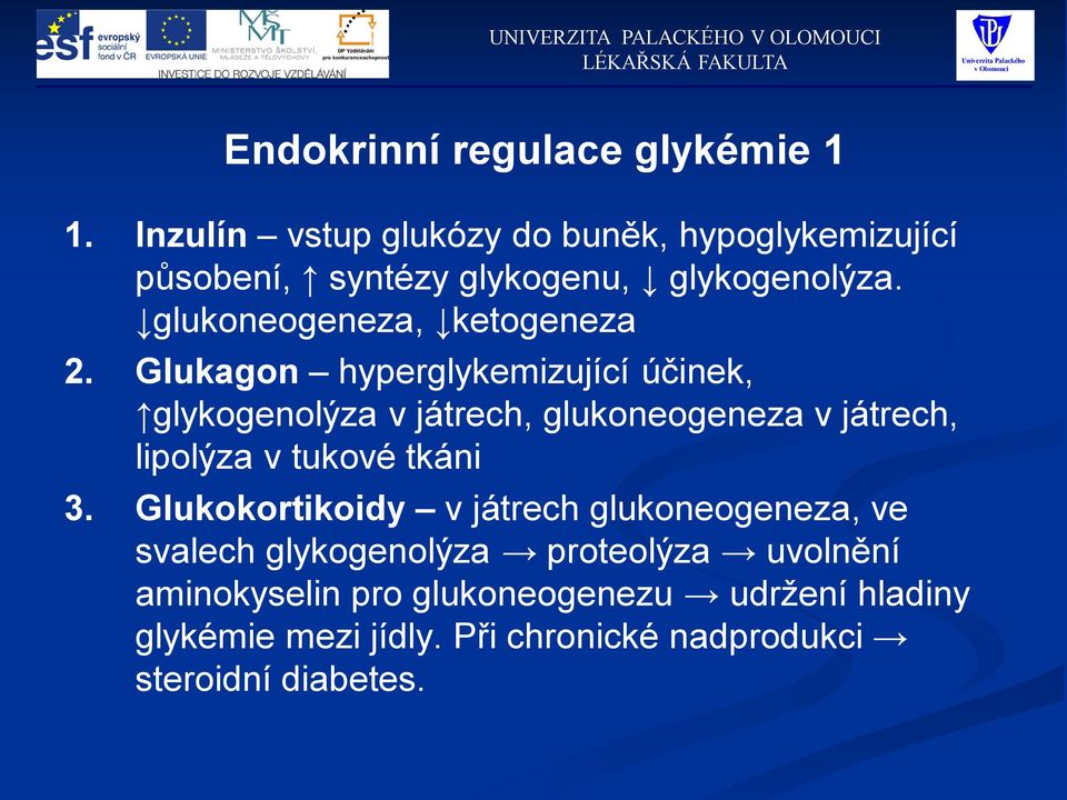 glukoneogeneza, ketogeneza 2.