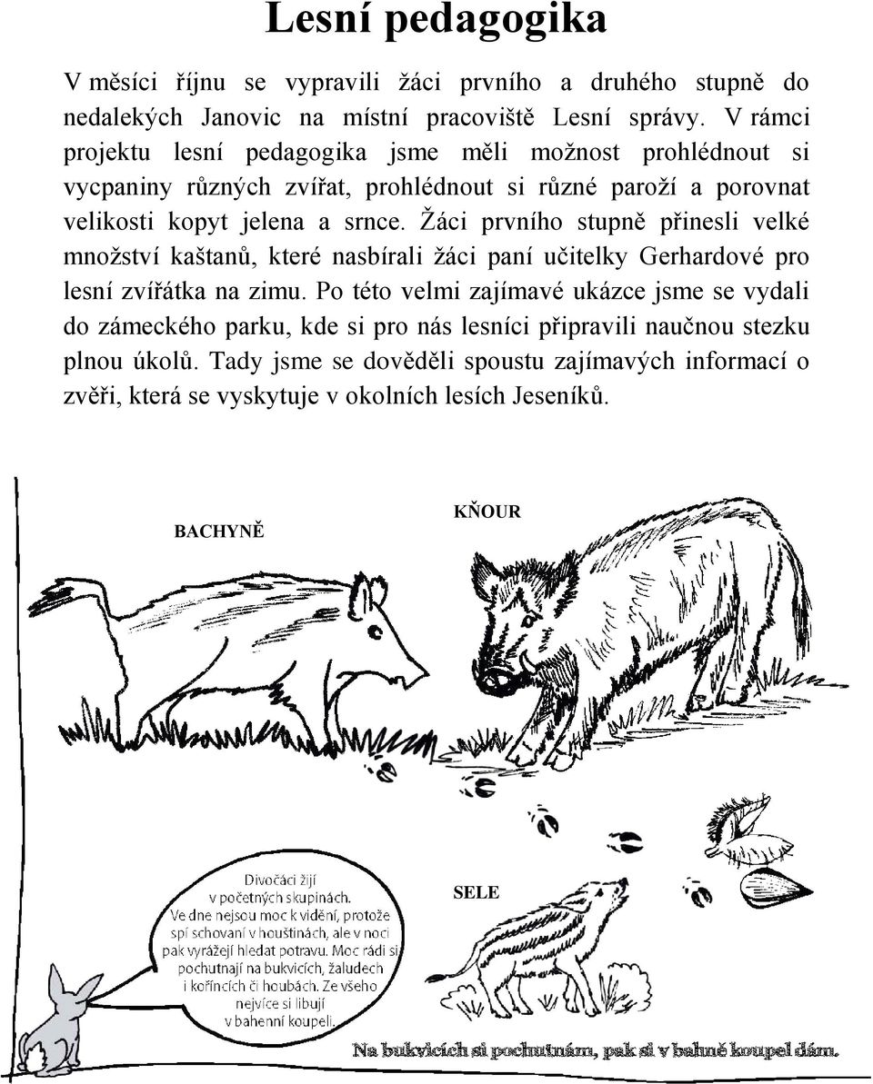 Ţáci prvního stupně přinesli velké mnoţství kaštanů, které nasbírali ţáci paní učitelky Gerhardové pro lesní zvířátka na zimu.