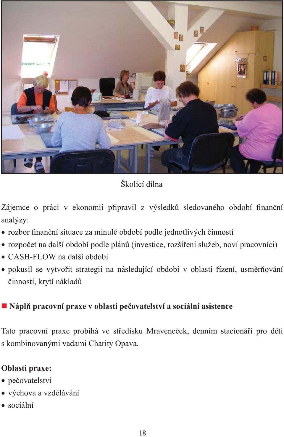 strategii na následující období v oblasti řízení, usměrňování činností, krytí nákladů Náplň pracovní praxe v oblasti pečovatelství a sociální asistence Tato