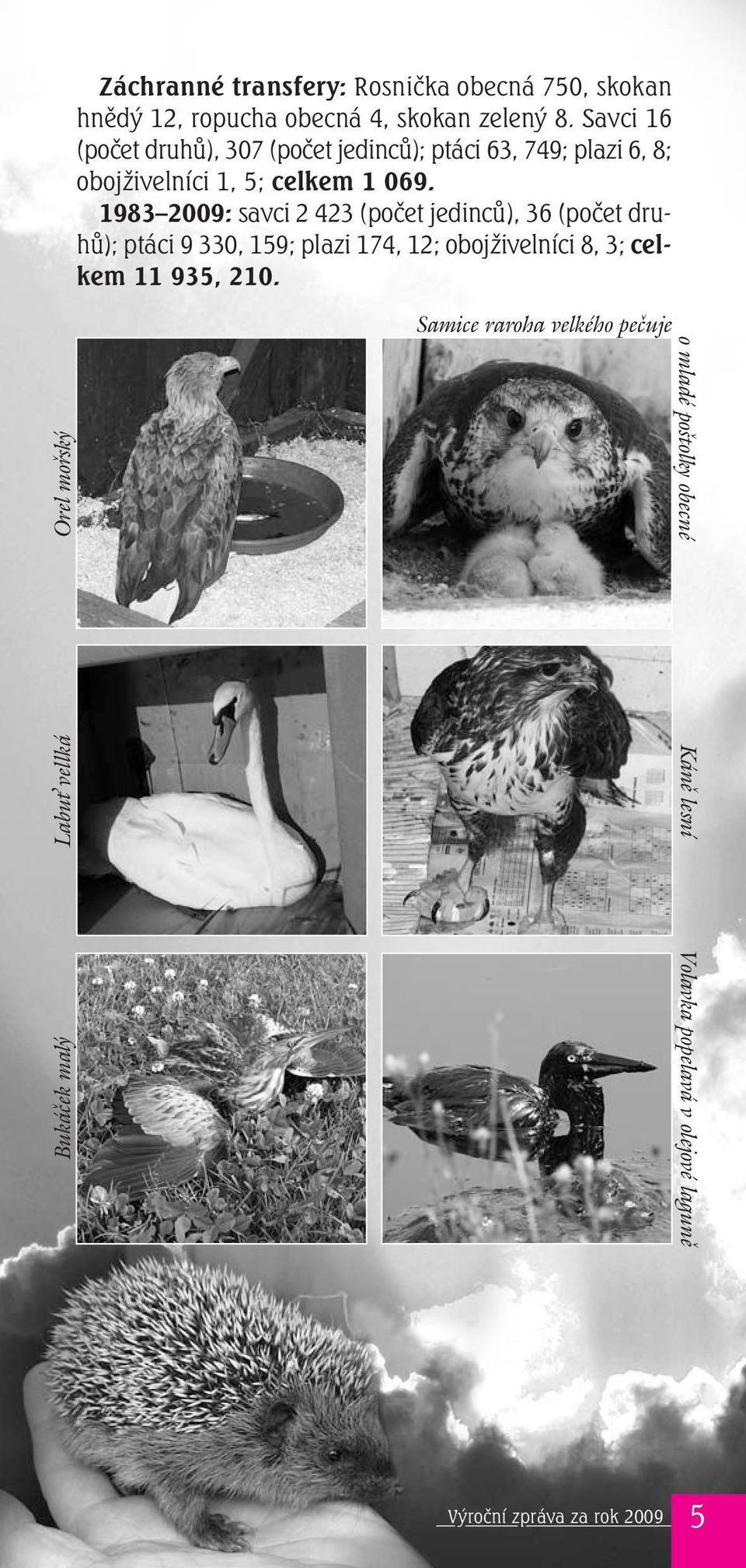 1983 2009: savci 2 423 (počet jedinců), 36 (počet druhů); ptáci 9 330, 159; plazi 174, 12; obojživelníci 8, 3; celkem 11