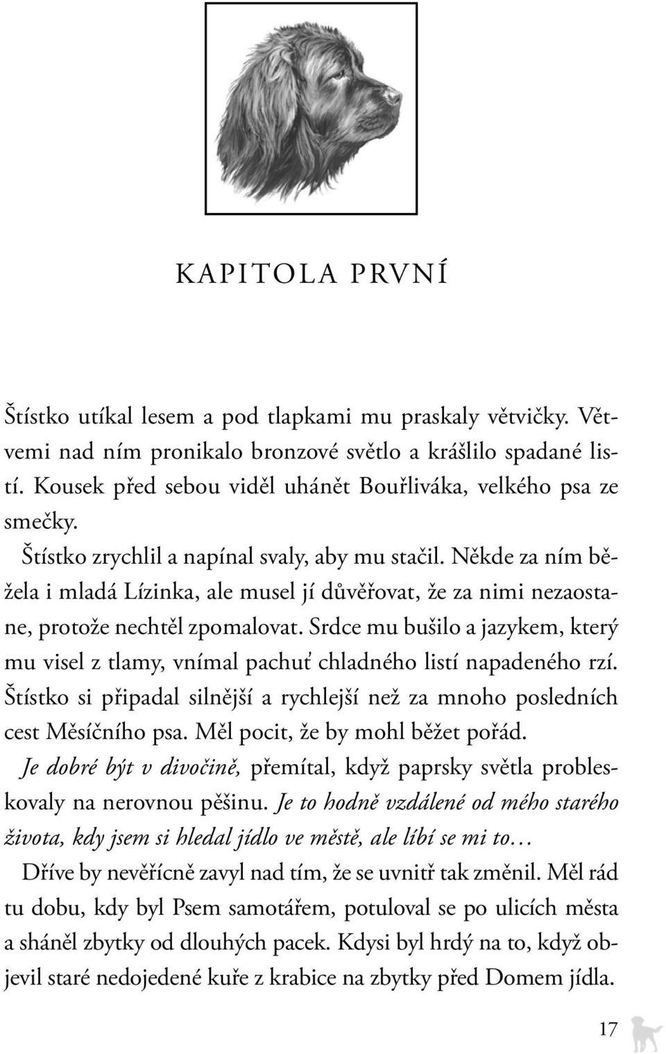 Někde za ním běžela i mladá Lízinka, ale musel jí důvěřovat, že za nimi nezaostane, protože nechtěl zpomalovat.