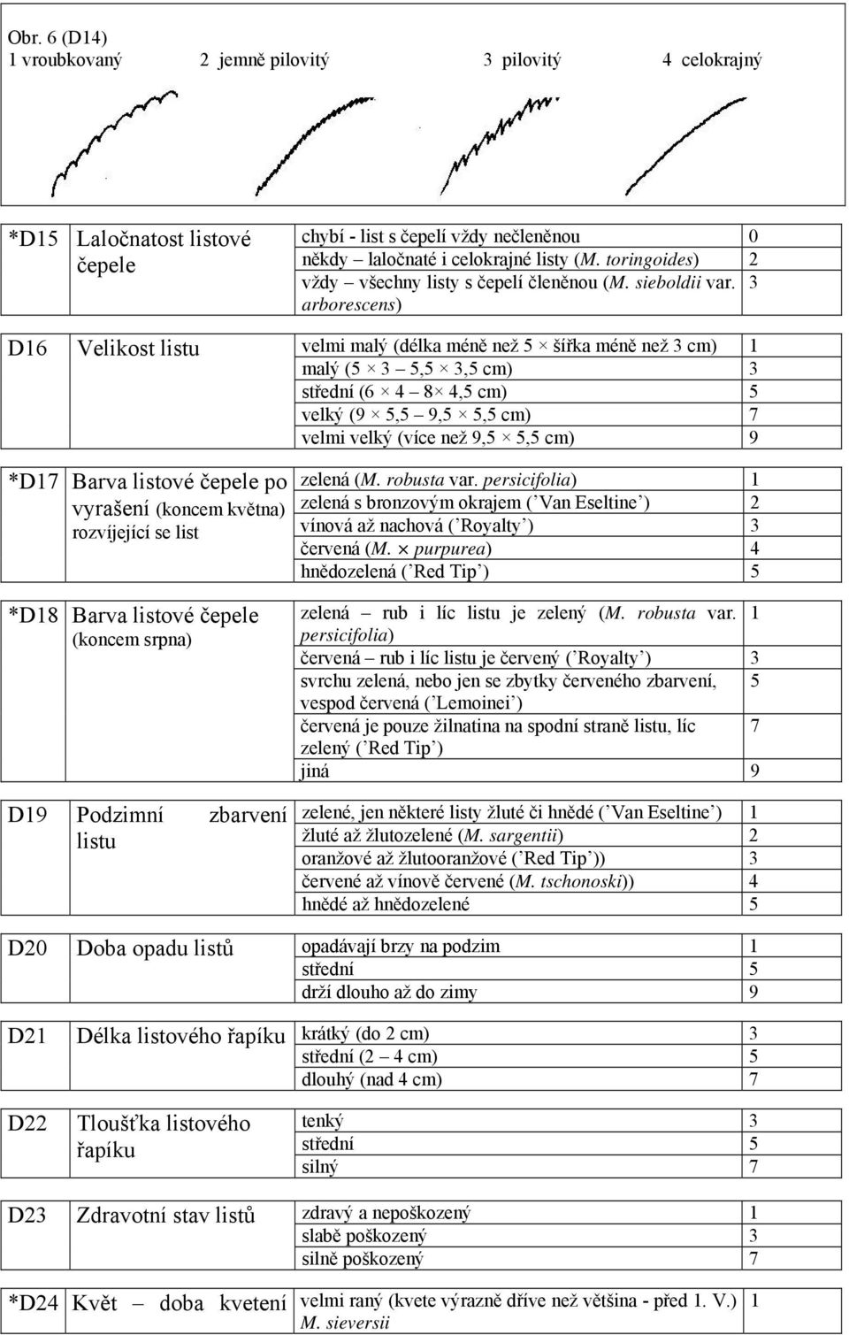 3 arborescens) D16 Velikost listu velmi malý (délka méně než 5 šířka méně než 3 cm) 1 malý (5 3 5,5 3,5 cm) 3 střední (6 4 8 4,5 cm) 5 velký (9 5,5 9,5 5,5 cm) 7 velmi velký (více než 9,5 5,5 cm) 9