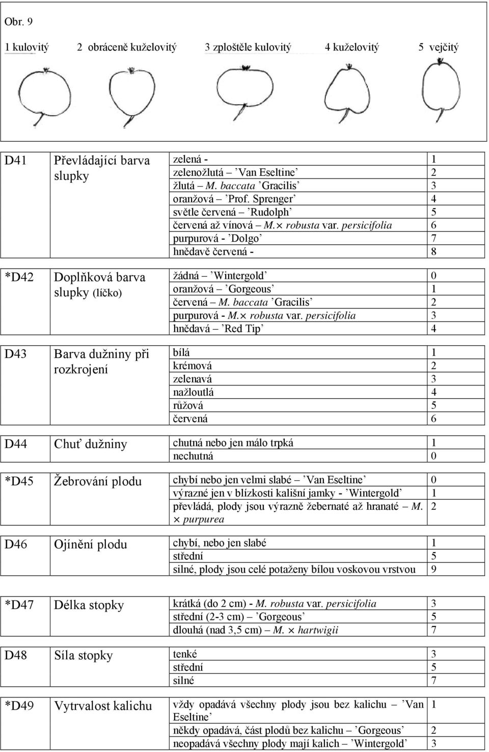 persicifolia 6 purpurová - Dolgo 7 hnědavě červená - 8 *D42 Doplňková barva slupky (líčko) žádná Wintergold 0 oranžová Gorgeous 1 červená M. baccata Gracilis 2 purpurová - M. robusta var.
