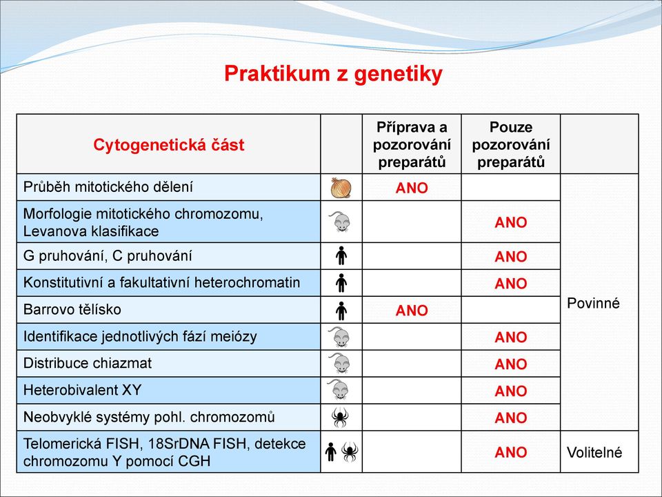 a fakultativní heterochromatin Barrovo tělísko Povinné Identifikace jednotlivých fází meiózy Distribuce chiazmat