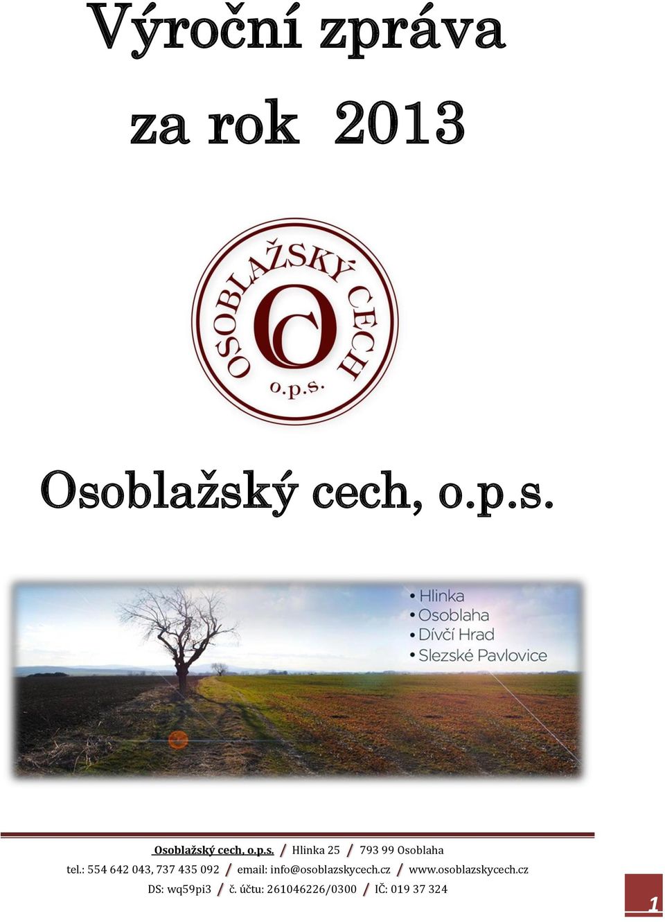 rok 2013