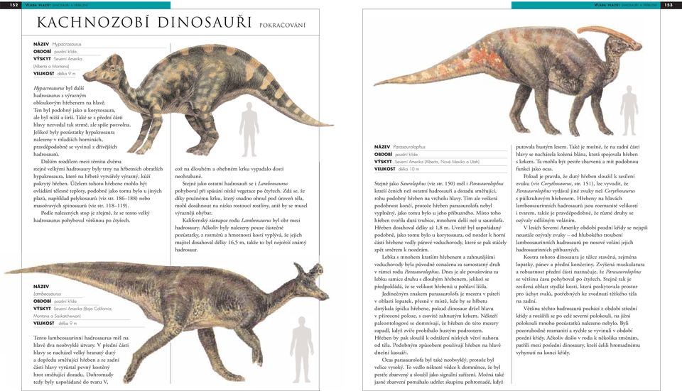 Jelikož byly pozůstatky hypakrosaura nalezeny v mladších horninách, pravděpodobně se vyvinul z dřívějších hadrosaurů.