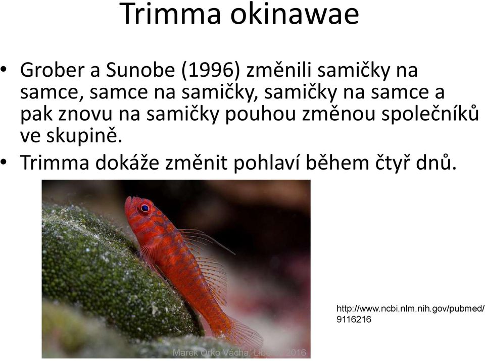 samičky pouhou změnou společníků ve skupině.