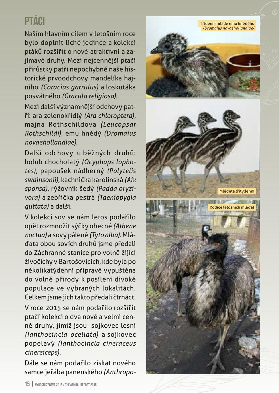 Mezi další významnější odchovy patří: ara zelenokřídlý (Ara chloroptera), majna Rothschildova (Leucopsar Rothschildi), emu hnědý (Dromaius novaehollandiae).