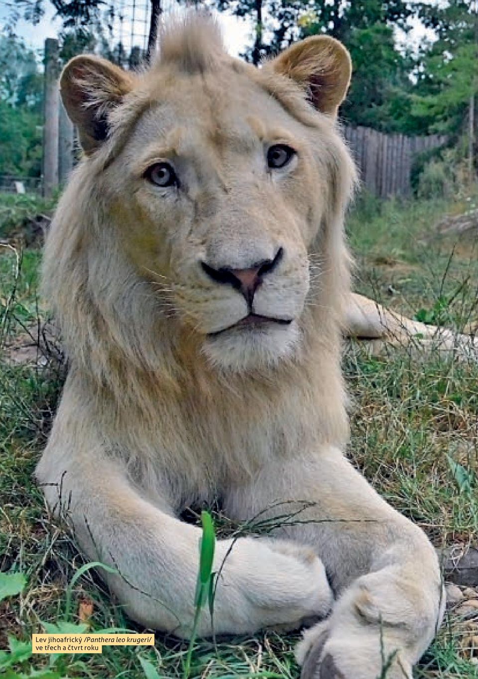 roku Zoologická zahrada