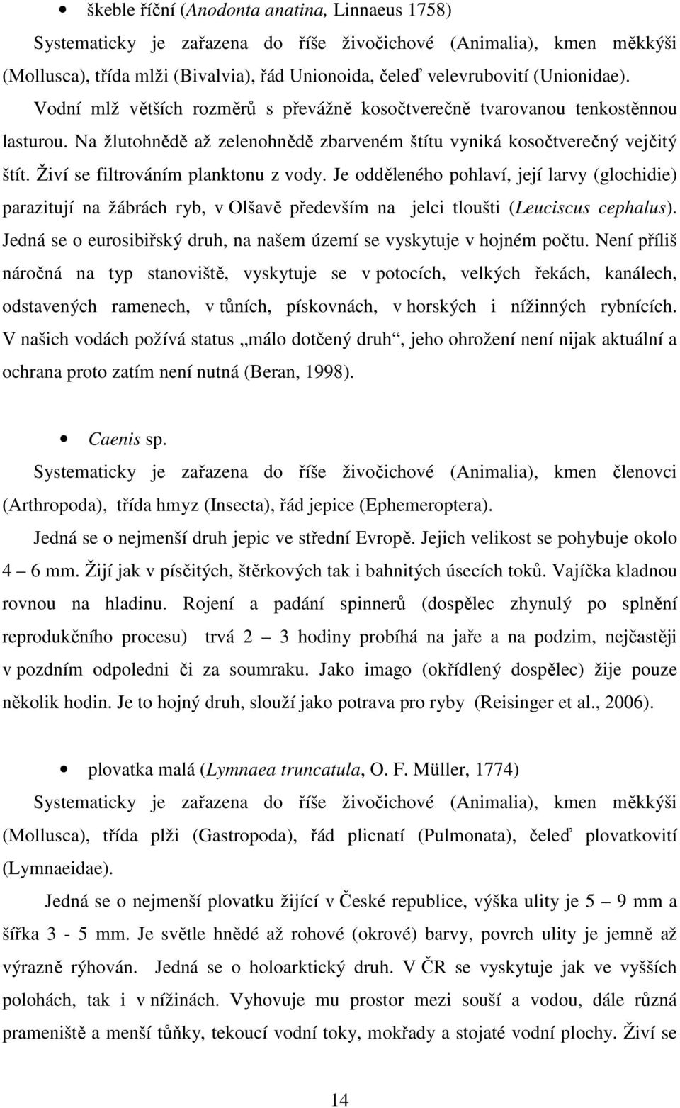 Živí se filtrováním planktonu z vody. Je odděleného pohlaví, její larvy (glochidie) parazitují na žábrách ryb, v Olšavě především na jelci tloušti (Leuciscus cephalus).