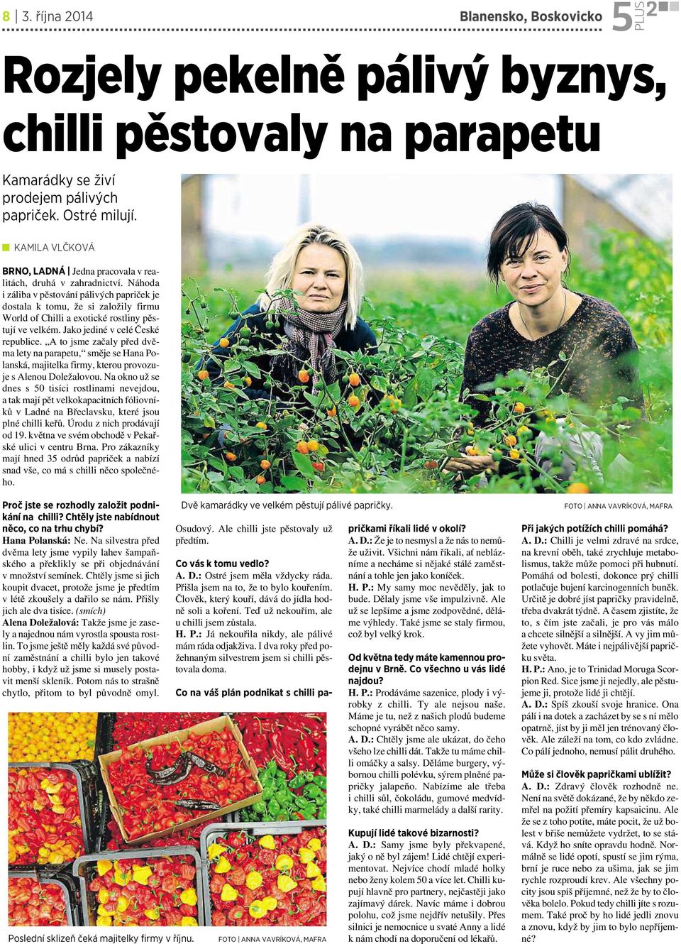 Náhoda i záliba v pěstování pálivých papriček je dostala ktomu, že si založily firmu World of Chilli aexotické rostliny pěstují ve velkém. Jako jediné v celé České republice.