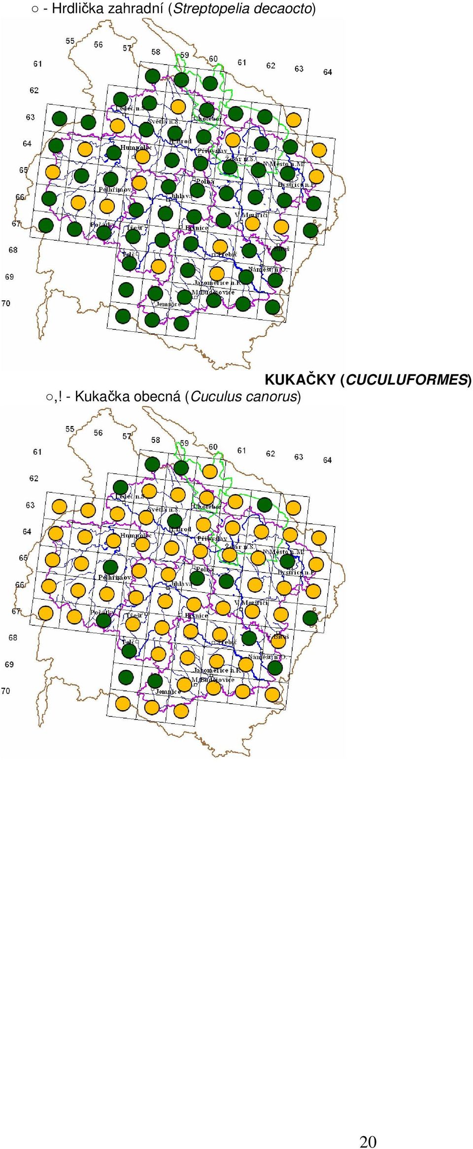 KUKAČKY (CUCULUFORMES),!