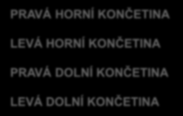 KONČETINA LEVÁ HORNÍ KONČETINA PRAVÁ DOLNÍ KONČETINA