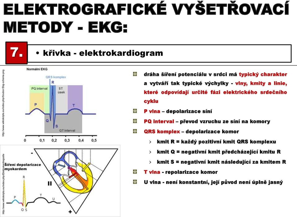 elektrického srdečního cyklu P vlna depolarizace síní PQ interval převod vzruchu ze síní na komory QRS komplex depolarizace komor kmit R = každý pozitivní kmit QRS