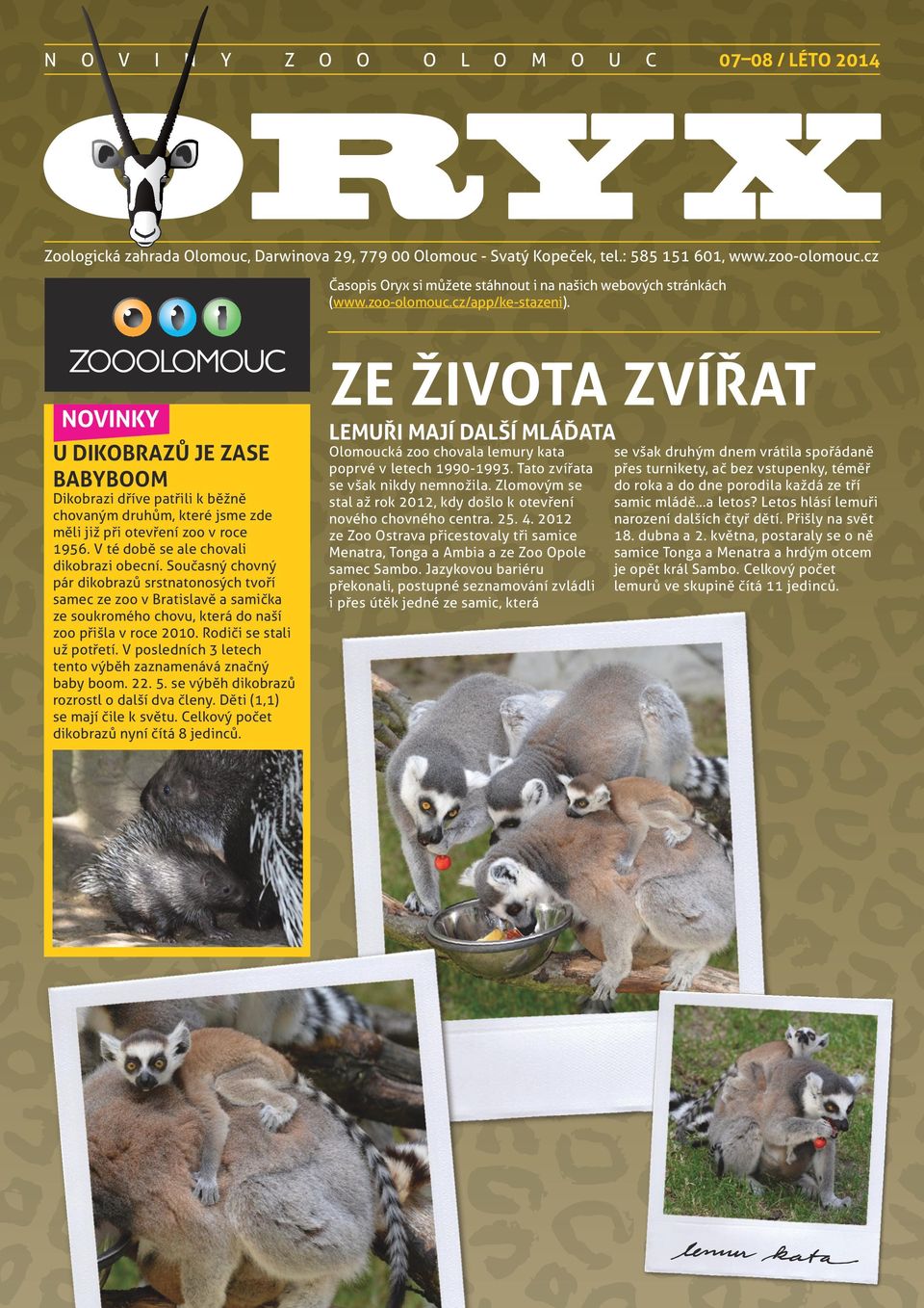 NOVINKY U DIKOBRAZŮ JE ZASE BABYBOOM Dikobrazi dříve patřili k běžně chovaným druhům, které jsme zde měli již při otevření zoo v roce 1956. V té době se ale chovali dikobrazi obecní.