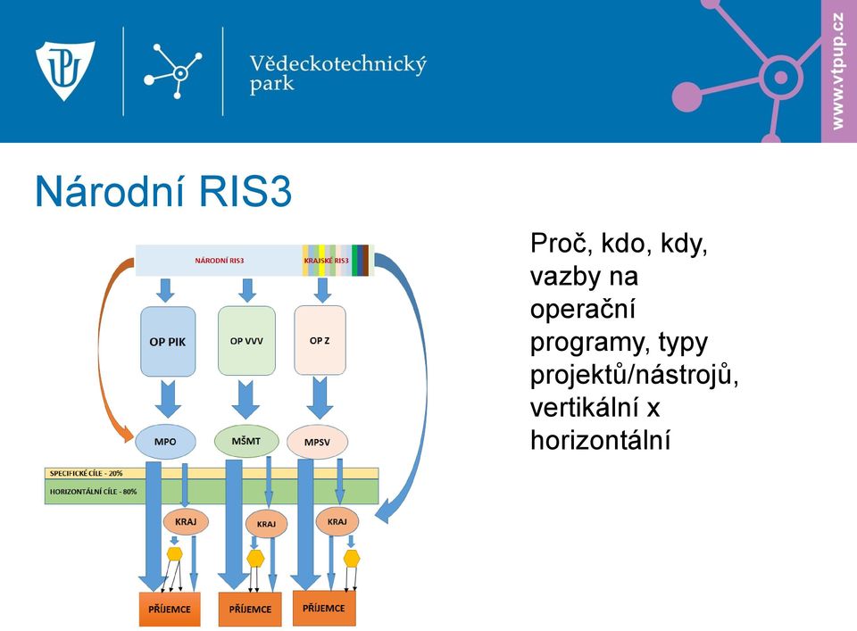 programy, typy