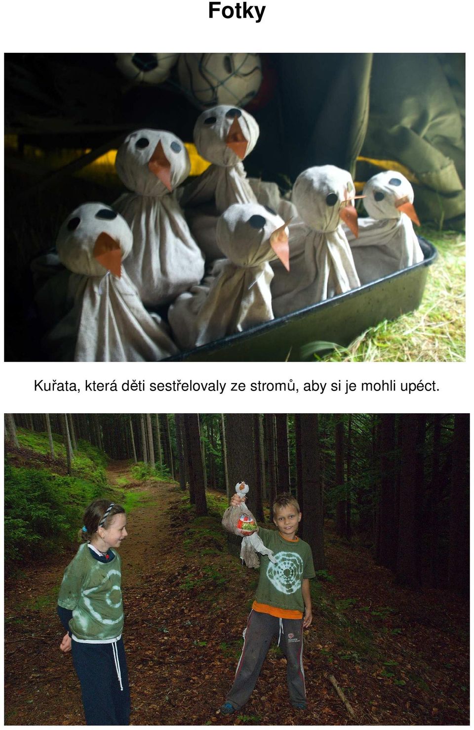 sestřelovaly ze