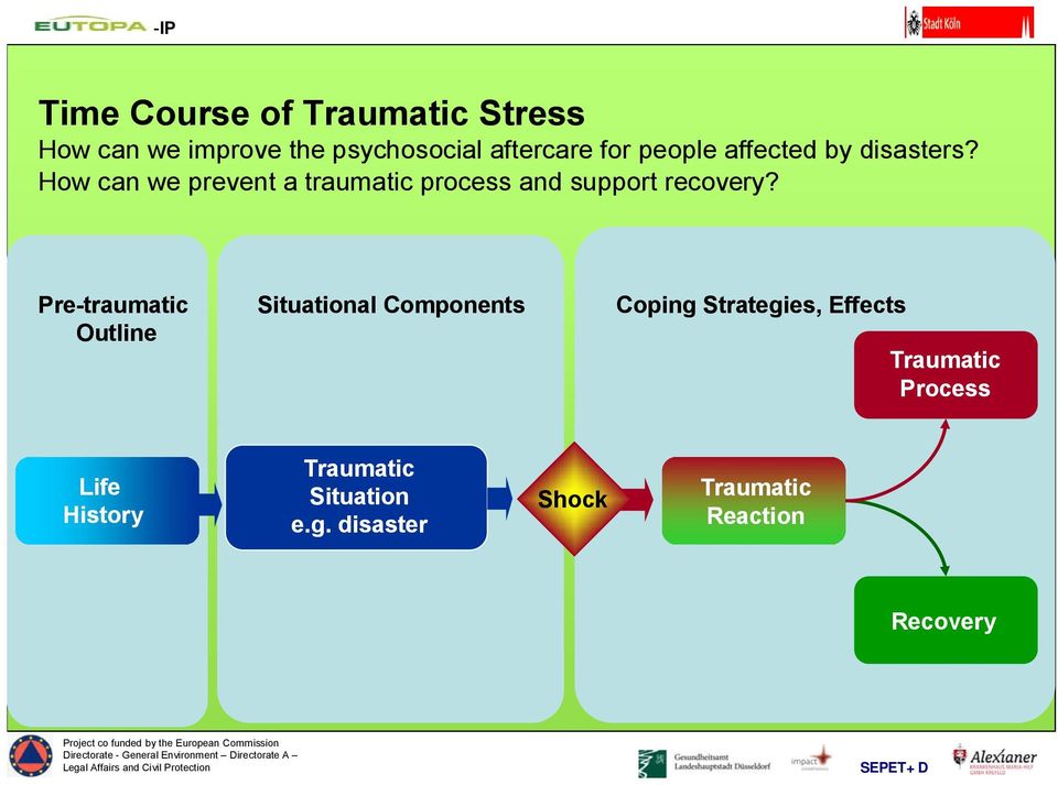 Pre-traumatic Outline Situational Components Coping Strategies, Effects Traumatic Process Life History Traumatic Situation e.