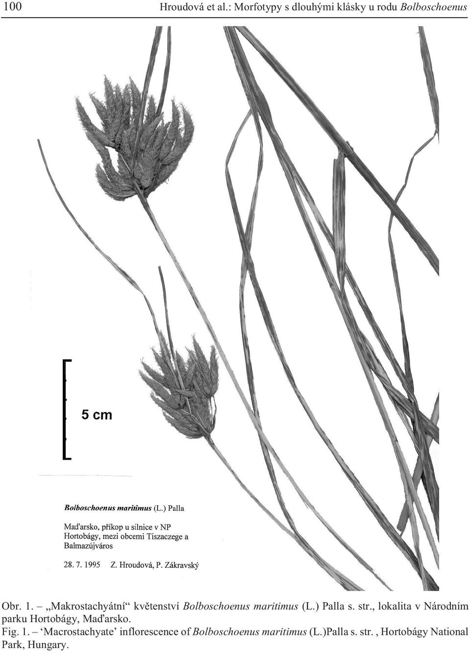 , lokalita v Národním parku Hortobágy, Maïarsko. Fig. 1.