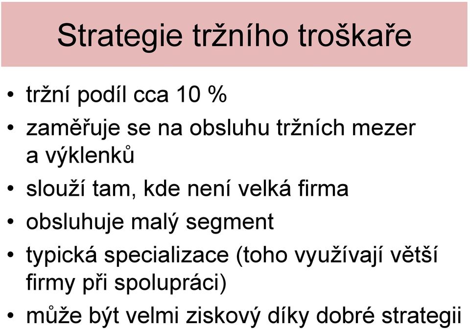 firma obsluhuje malý segment typická specializace (toho