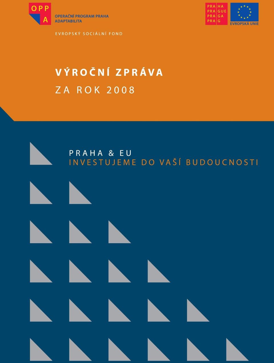 ZA ROK 2008 pro 4.