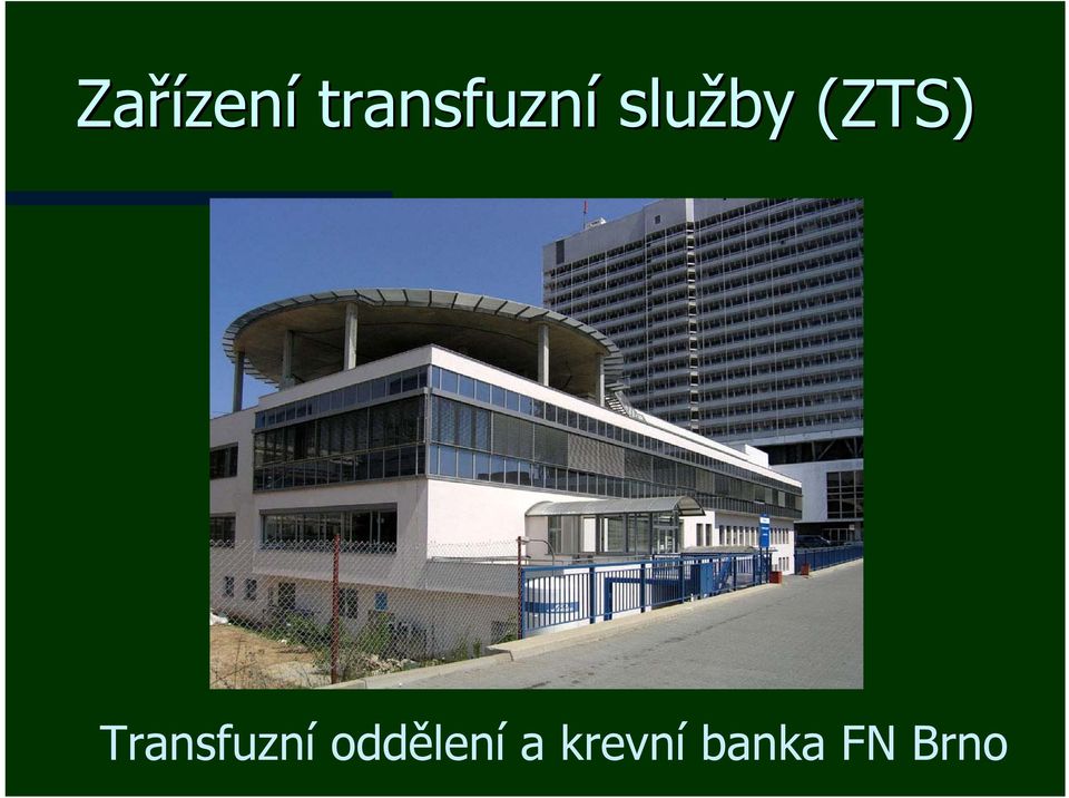 (ZTS) Transfuzní