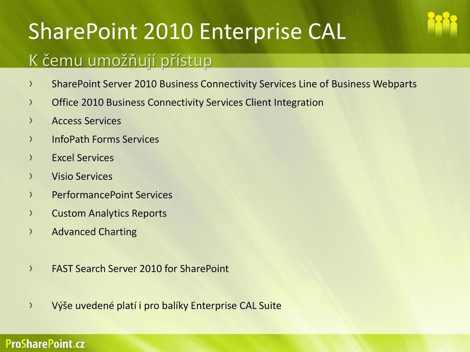 Services InfoPath Forms Services Excel Services Visio Services PerformancePoint Services Custom Analytics