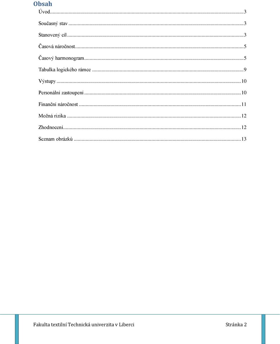 .. 10 Personální zastoupení... 10 Finanční náročnost... 11 Možná rizika.
